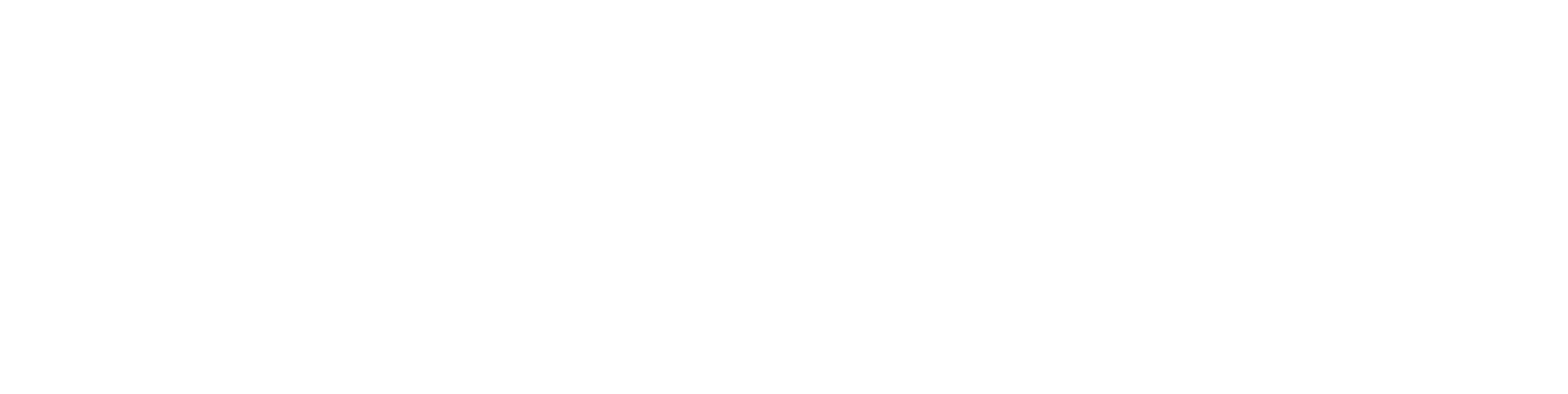 BigBrands Inc.